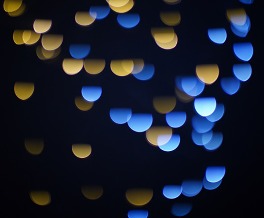 1637298960707303.png DSC07152.JPG.png