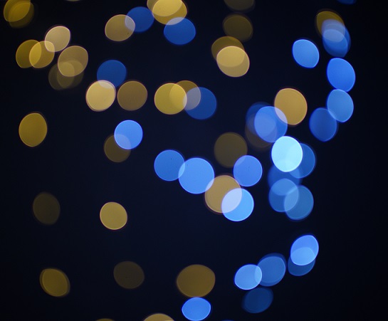 1637298984560573.jpg DSC07155.JPG