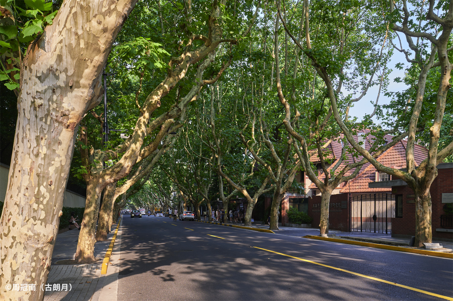 1729559535816952.jpg _DSC5986 2.jpg