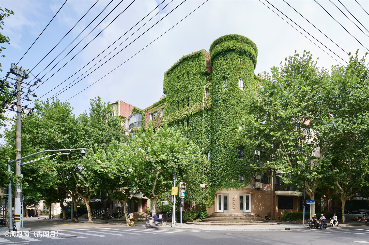 1729559562159394.jpg _DSC6365.jpg