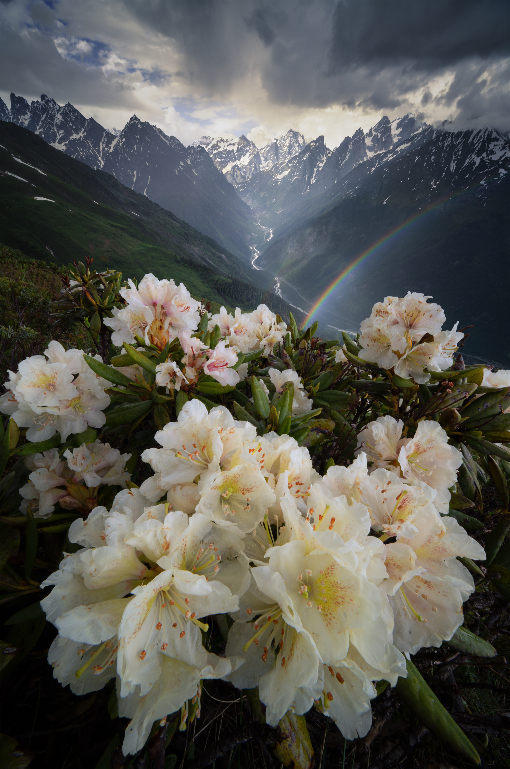 1740381483207887.jpg 小尺寸11.jpg