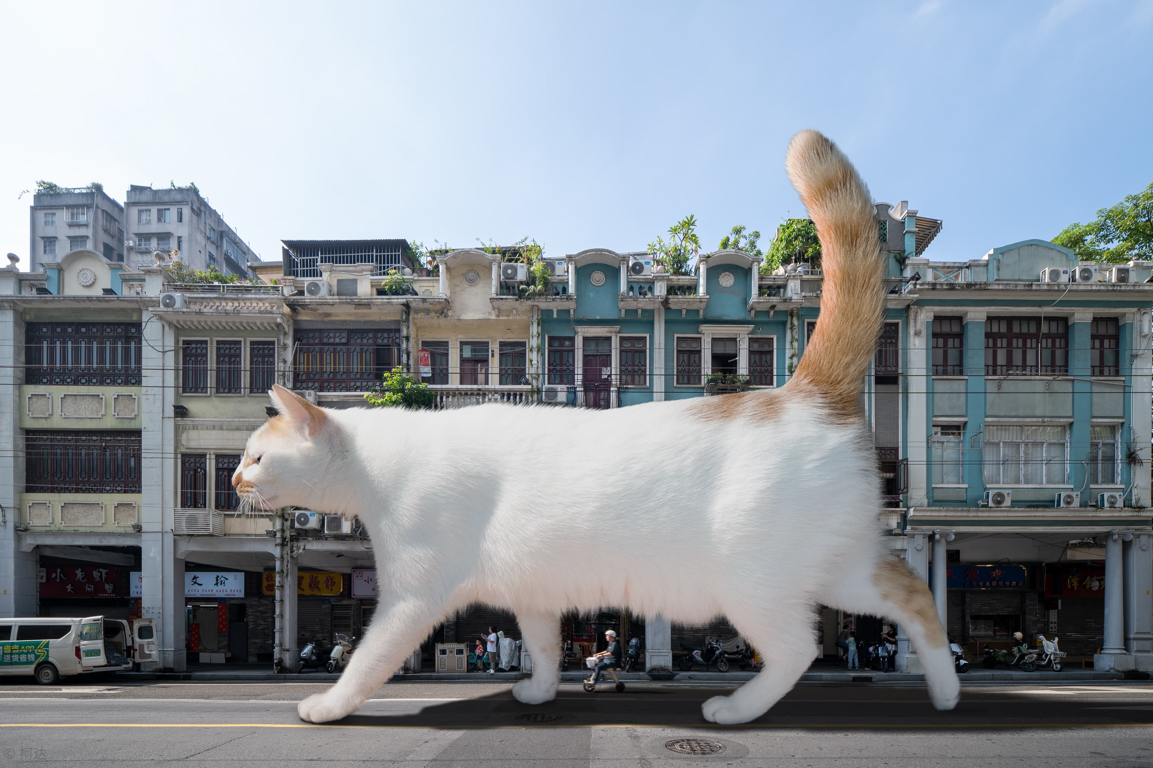 作者姓名：柯达&nbsp;&nbsp;&nbsp;&nbsp;镜头型号：FFⅡ AF12mm F2.8 C&D-Dreamer